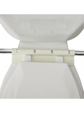 Toilet Safety Rails