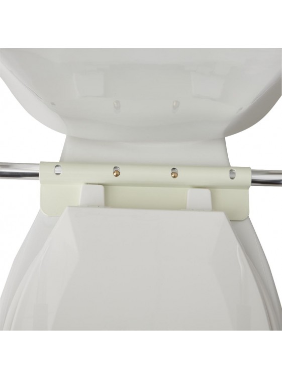 Toilet Safety Rails